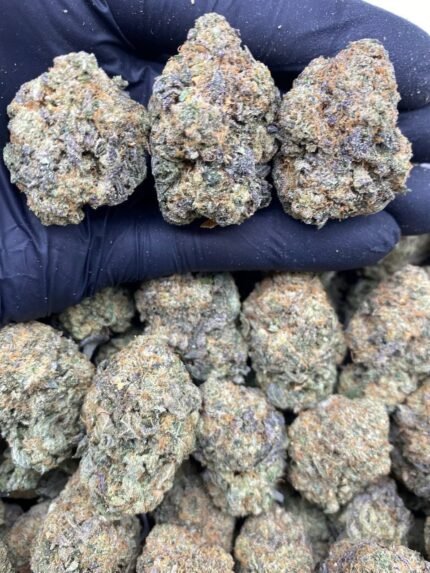 blue gelato for sale in uk