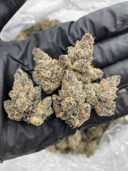 Grape Pixie Stix Strain