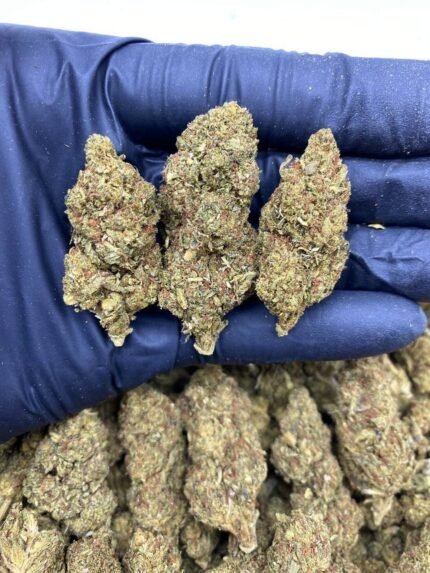 og kush strain