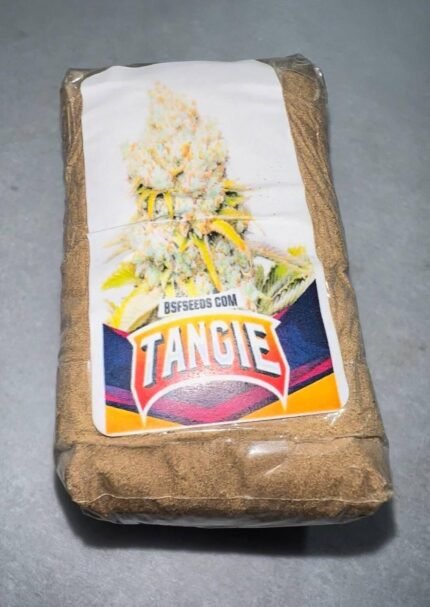 Buy VVS Tangie Hash UK