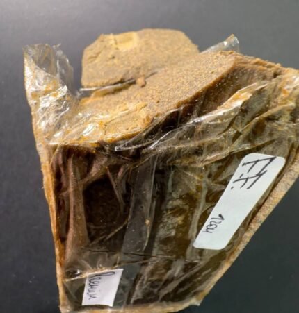 VVS Tangie Hash