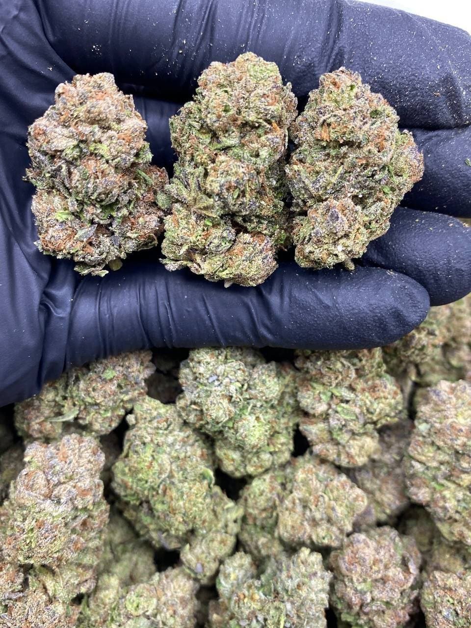 Watermelon-Runtz-Strain watermelon runtz strain
