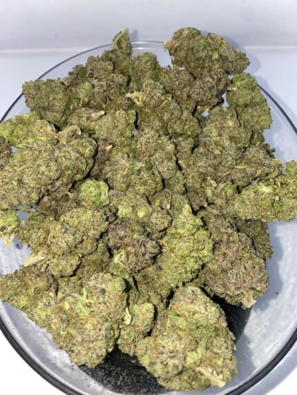 Blueberry Muffin Strain uk