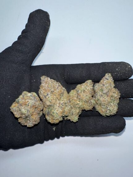 Buy Cherry pie x Girl scout cookies online