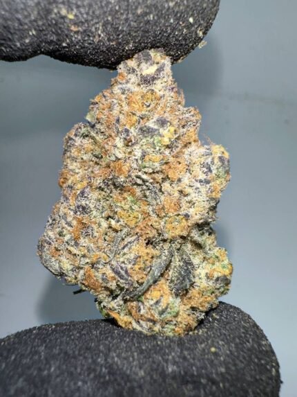Buy Cherry pie x Girl scout cookies online