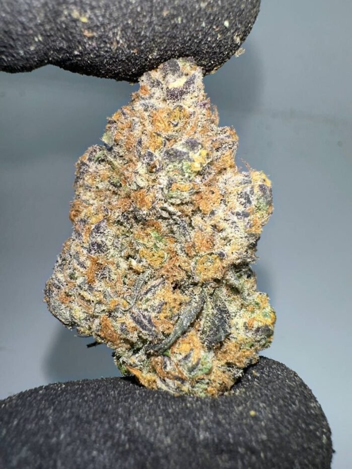Buy Cherry pie x Girl scout cookies online