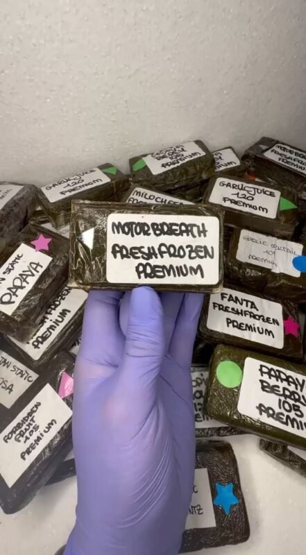 Buy Anonymuz Frozen Hash online