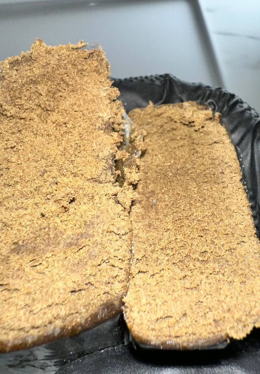 tropicali1 tropicali hash